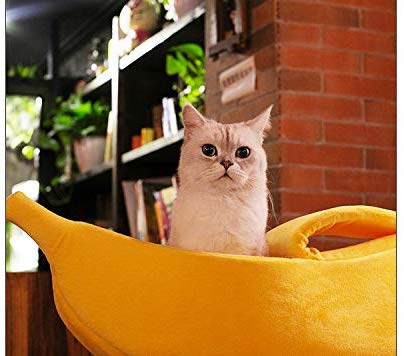 KittyPeel - Pet Banana Hideaway